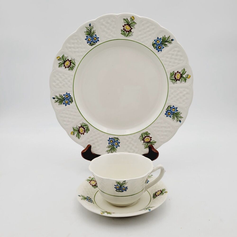 Royal Cauldon 3-piece Dinner Plate, Cup & Saucer Set June Garden